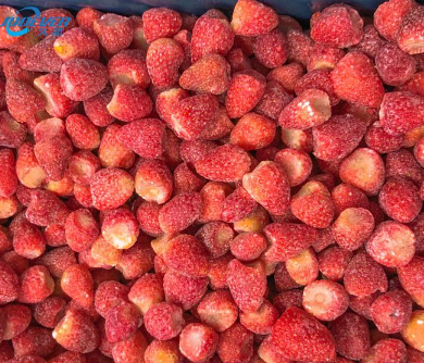Can Dogs Eat Frozen Strawberries