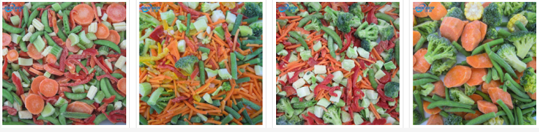 frozen food