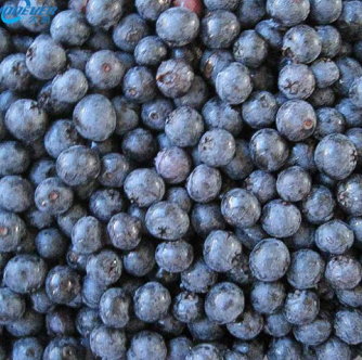 frozen fruit