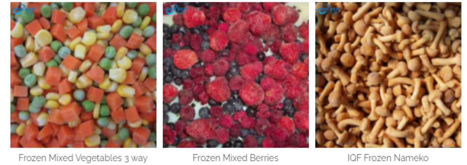  Jooever frozen food