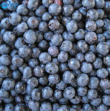 Frozen Fruits