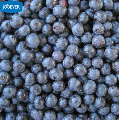  frozen fruits