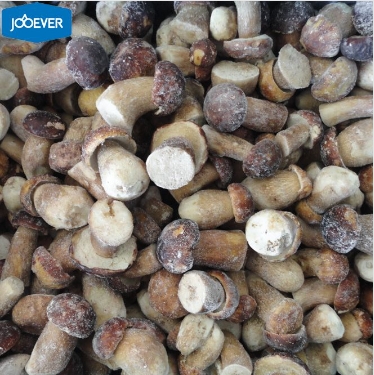 Mastering the Freeze: A Comprehensive Guide to Preserving Fresh Mushrooms