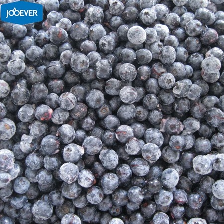 Frozen Blueberry