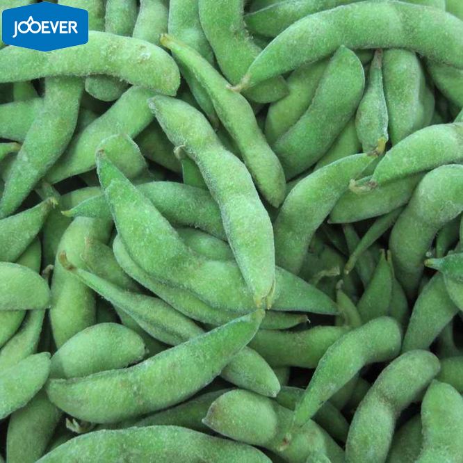 Noyau d'edamame congelé IQF Noyau d'edamame congelé IQF