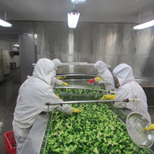How to Verify Supplier's Grading Consistency
