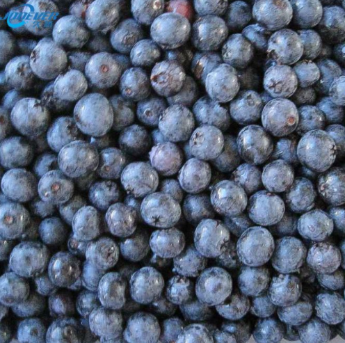 Which Is Healthier, Fresh, Canned, Dried Or Frozen Food?