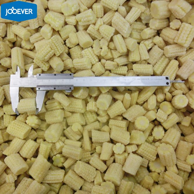 IQF Frozen Baby Corn cut