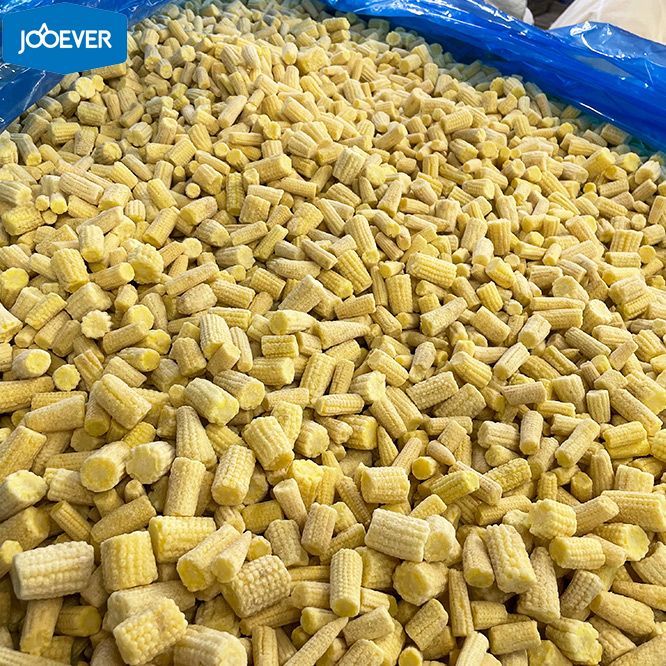 IQF Frozen Baby Corn cut
