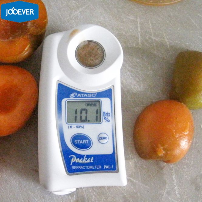 IQF Frozen Apricot halves