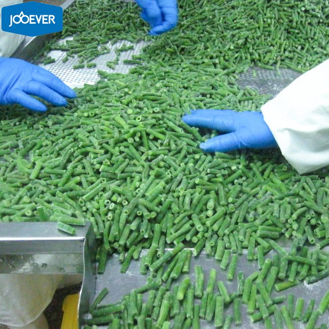 IQF Frozen Asparagus Beans cut