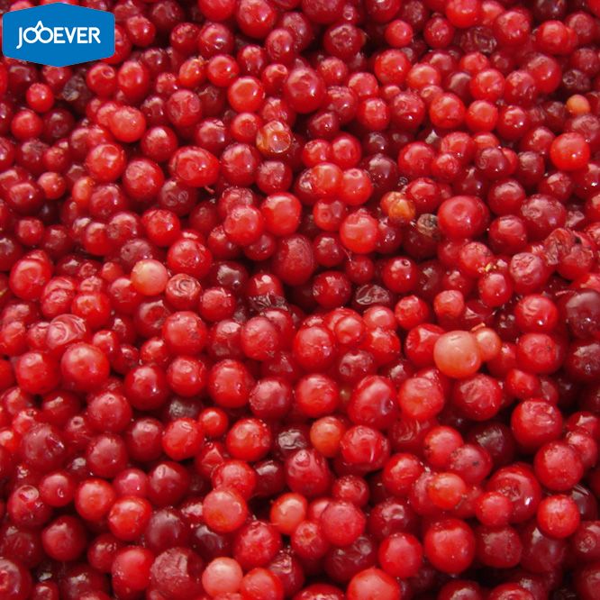 IQF Frozen Lingonberry