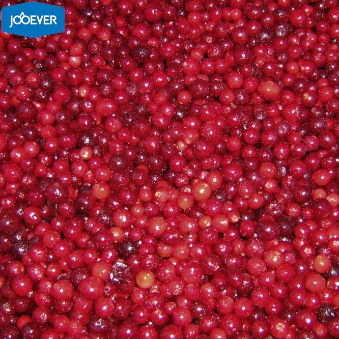 IQF Frozen Lingonberry