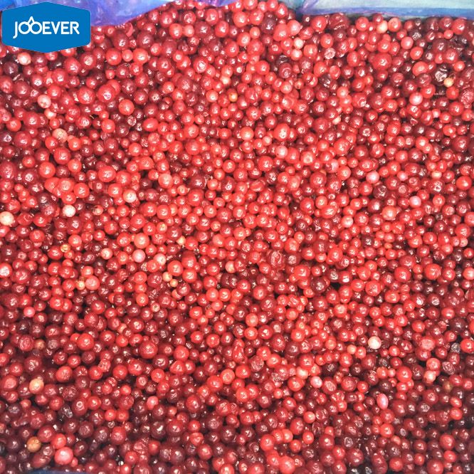 IQF Frozen Lingonberry