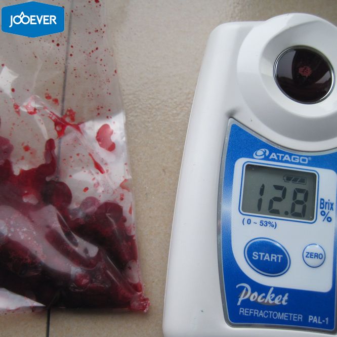 IQF Frozen Lingonberry