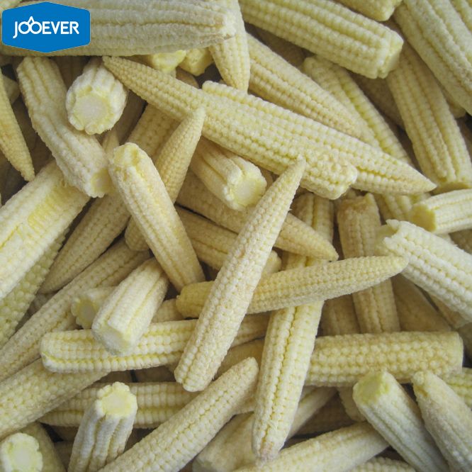IQF Frozen Baby Corn whole