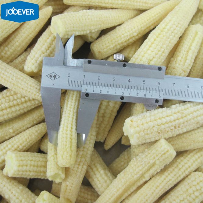 IQF Frozen Baby Corn whole