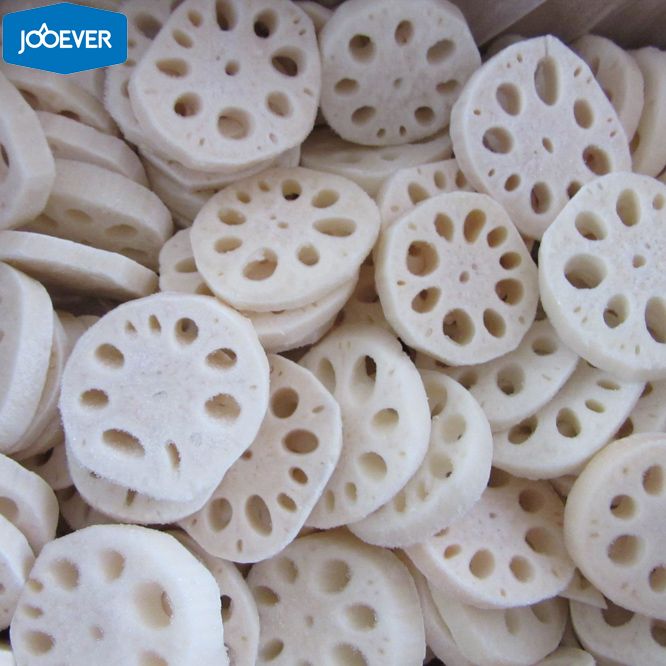 IQF Frozen Lotus Root slice
