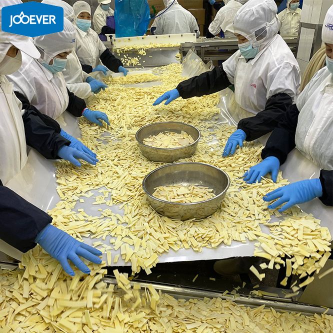 IQF Frozen Bamboo Shoot slice