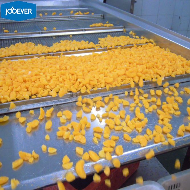 IQF Frozen Mandarin Orange broken