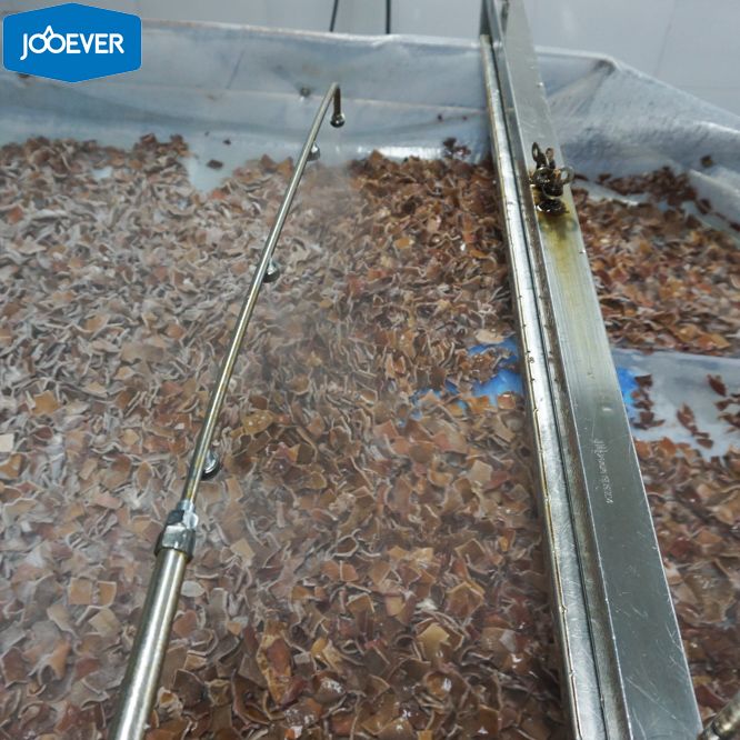 IQF Frozen Black Fungus chunk