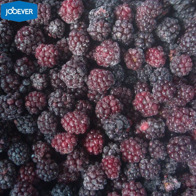 IQF Frozen Blackberry
