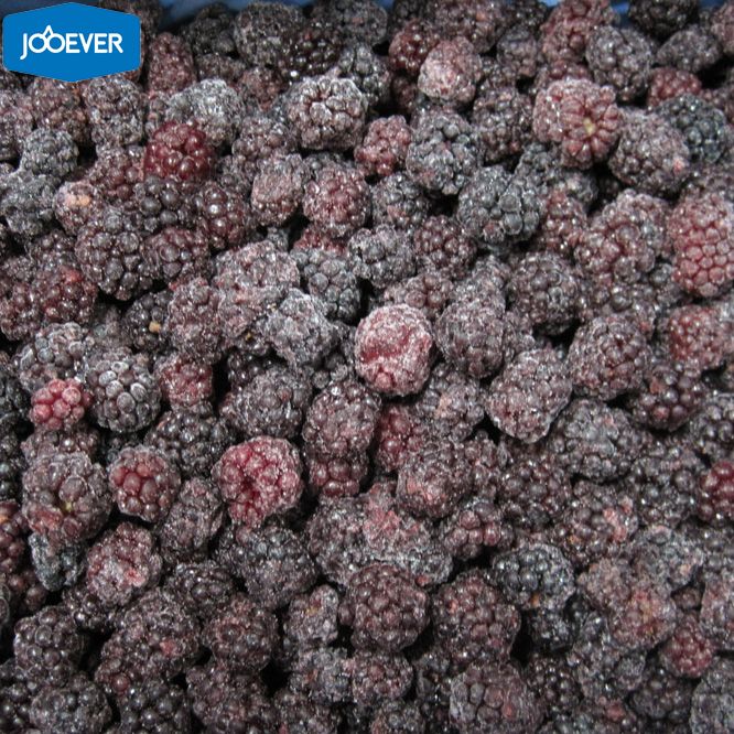 IQF Frozen Blackberry