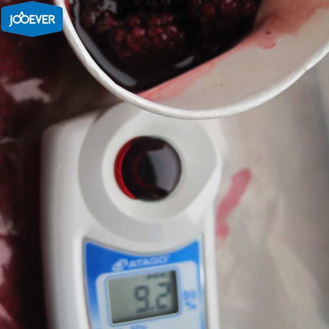 IQF Frozen Blackberry
