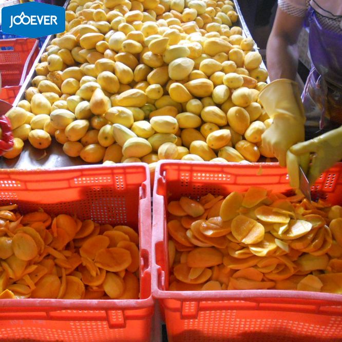 IQF Frozen Mango halves