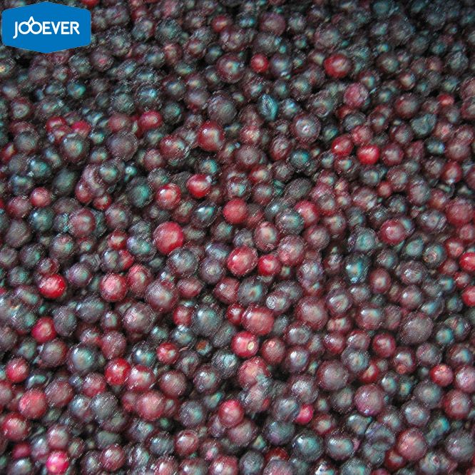 IQF Frozen Blueberry