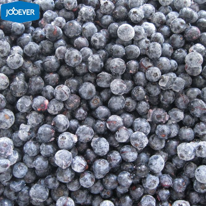 IQF Frozen Blueberry