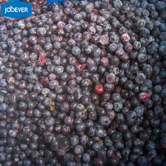IQF Frozen Blueberry