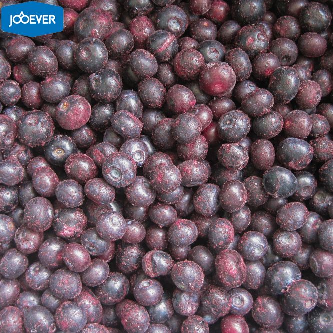 IQF Frozen Blueberry