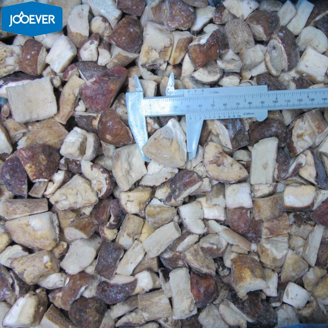 IQF Frozen Boletus Edulis chunk