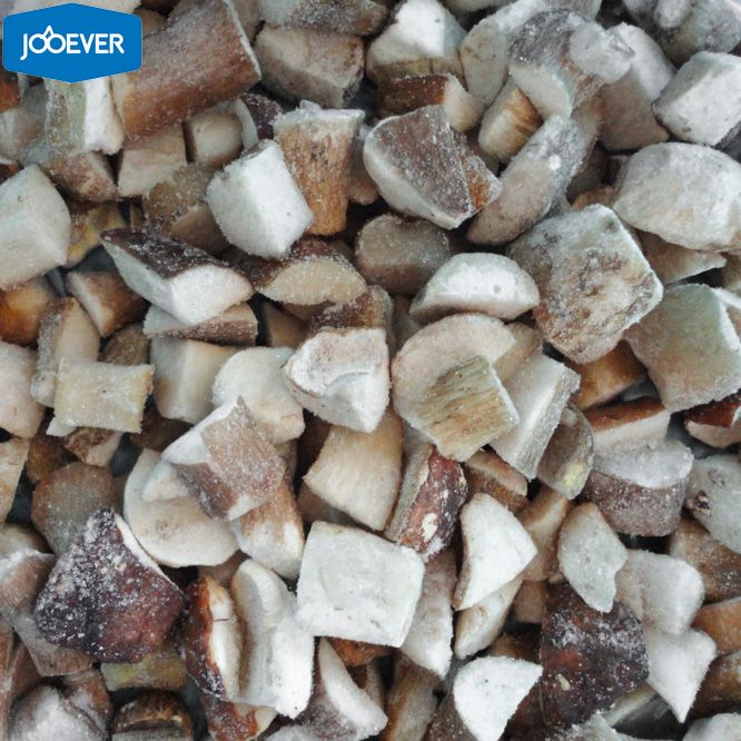 IQF Frozen Boletus Edulis chunk