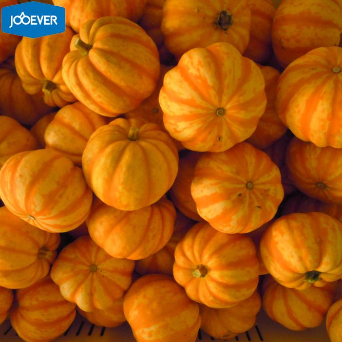IQF Frozen Mini Pumpkin