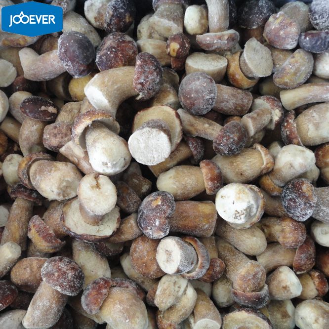 IQF Frozen Boletus Edulis whole
