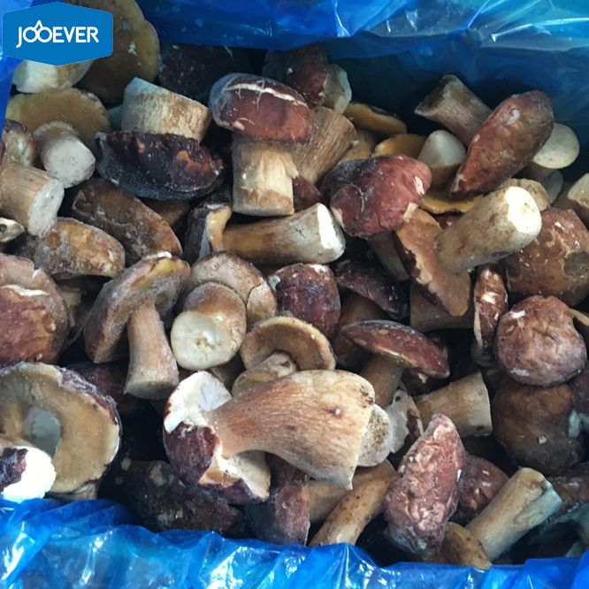 IQF Frozen Boletus Edulis whole