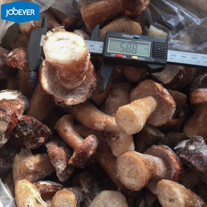 IQF Frozen Boletus Edulis whole