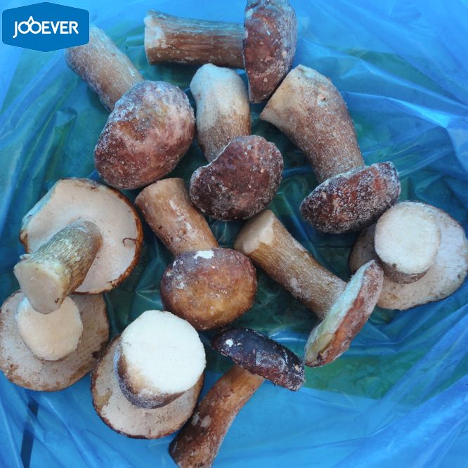 IQF Frozen Boletus Edulis whole