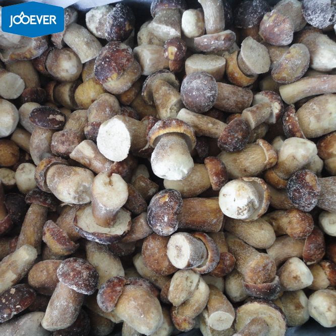 IQF Frozen Boletus Edulis whole