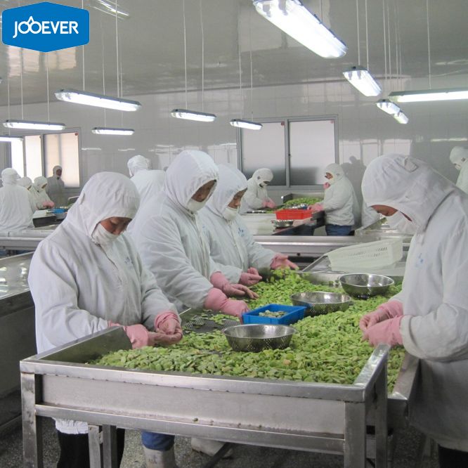IQF Frozen Broad Beans double peeled