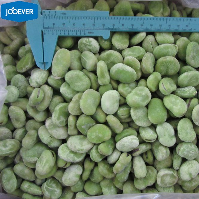 IQF Frozen Broad Beans