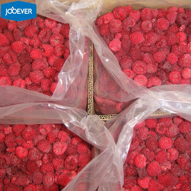 IQF Frozen Raspberry whole
