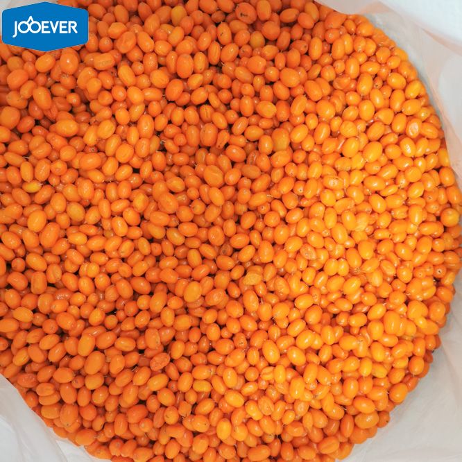IQF Frozen Seabuckthorn