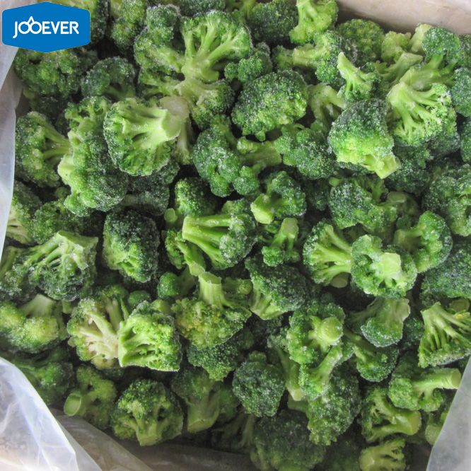 IQF Frozen Broccoli Florets