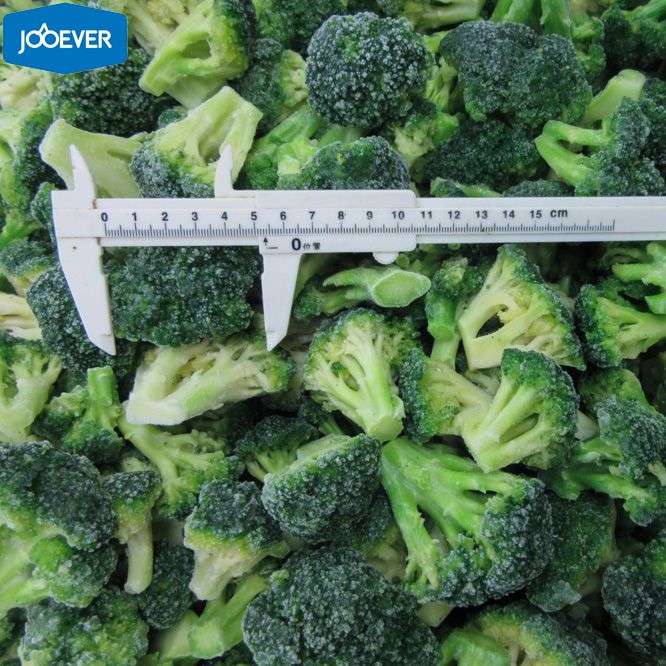 IQF Frozen Broccoli Florets