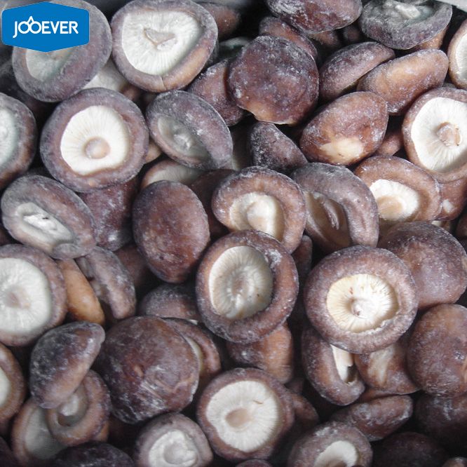 IQF Frozen Shiitake whole