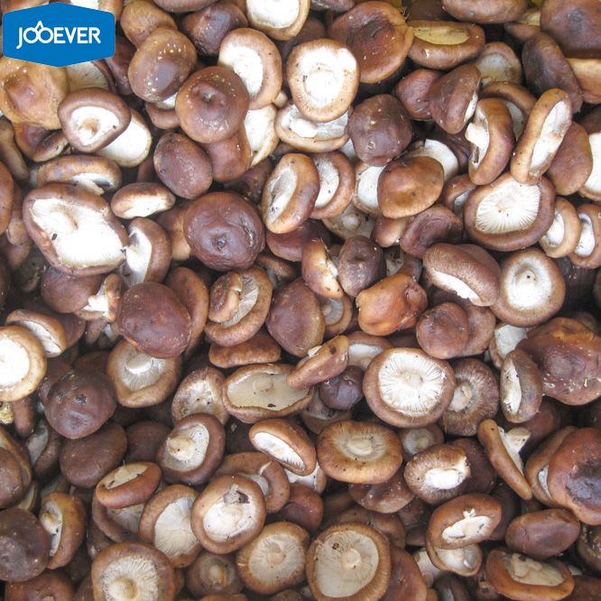 IQF Frozen Shiitake whole