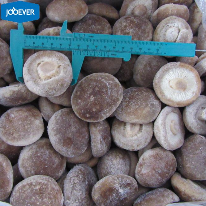 IQF Frozen Shiitake whole